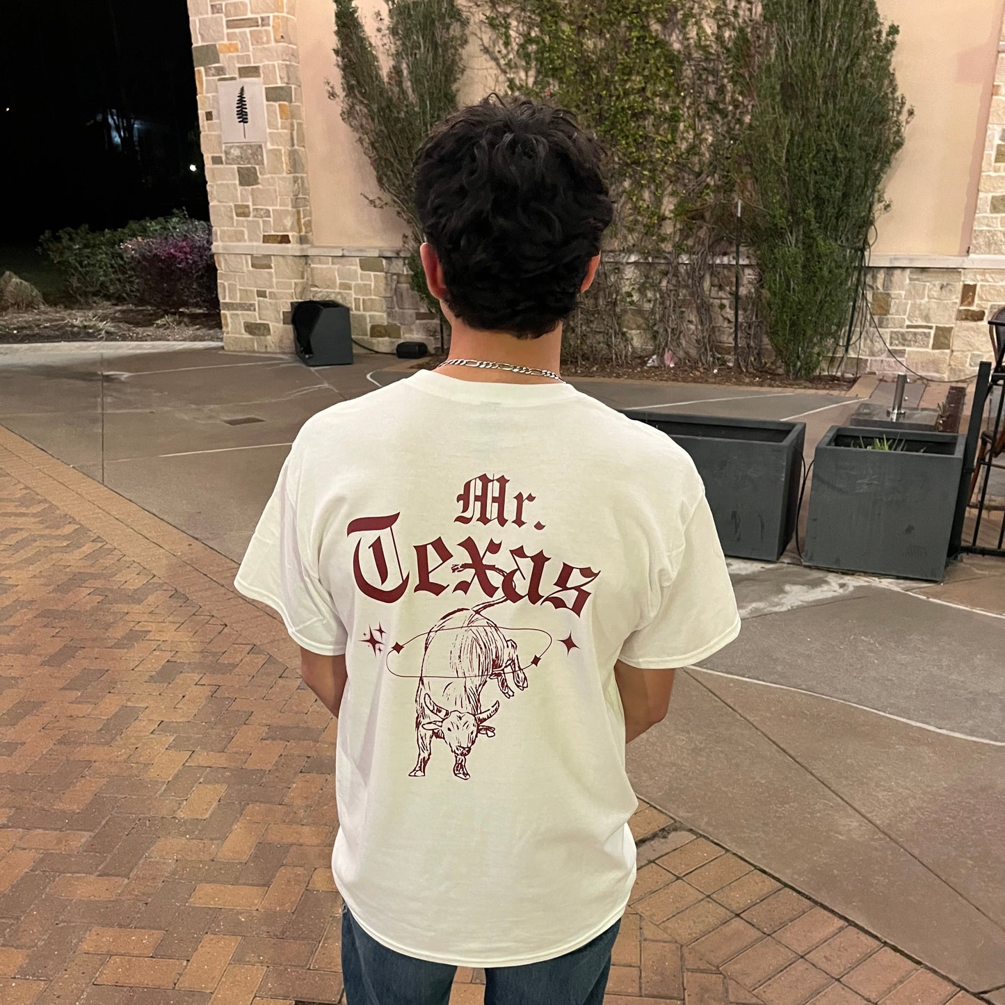 MR.TEXAS BULL (white version)